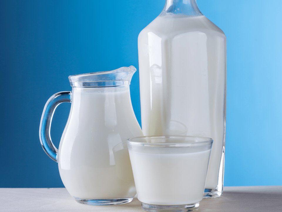 dairy products are the basis of the kefir diet